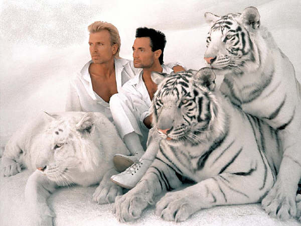 Tribute To Siegfried and Roy